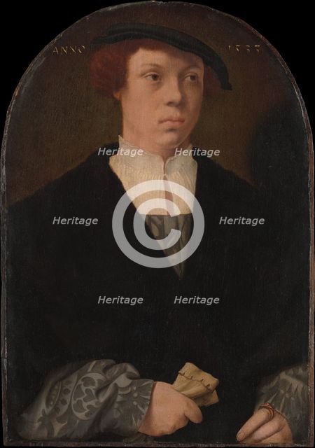 Portrait of a Man, 1533. Creator: Bartholomaeus Bruyn the Elder.