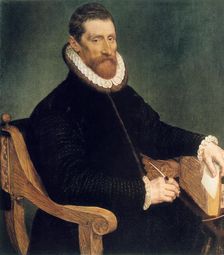 Portrait of a man 16th century. Artist: Frans Pourbus the elder