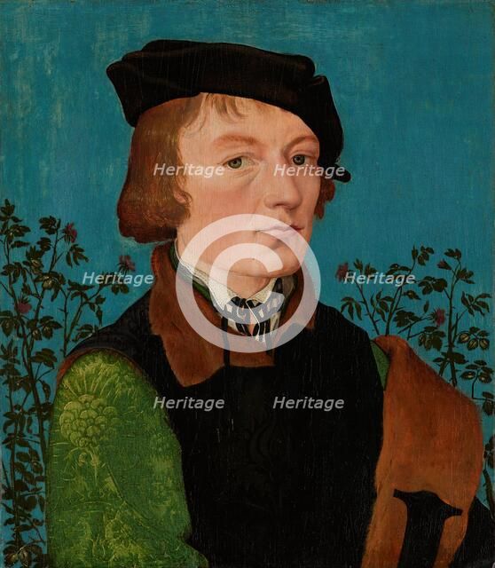 Portrait of a Man in Front of a Rose Hedge, 1512-1513. Creator: Hans Baldung.