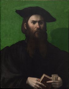 Portrait of a Man with Petrarchino