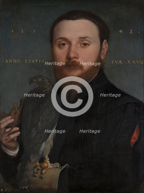 Portrait of a Nobleman with a hawk. Creator: Hans Holbein the Younger.