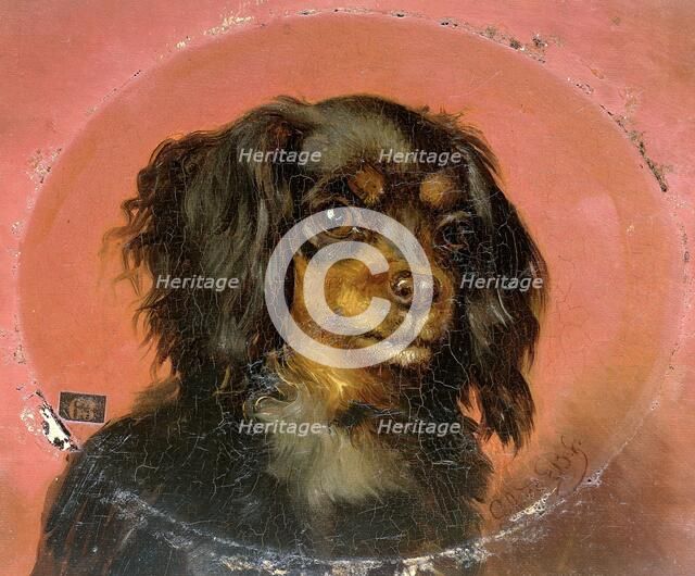 Portrait of a Puppy, 1850-1891. Creator: Guillaume Anne van der Brugghen.