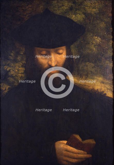 Portrait of a reading man, ca 1522.