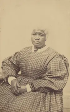 Portrait of a Seated Woman, 1865-1870. Creator: HJ Reed
