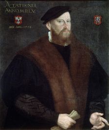 Portrait of an Elderly Man 1576. Artist: French Master