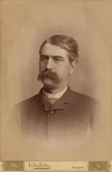 Portrait of an unidentified man with a bushy moustache, 1885. Creator: FC Weston