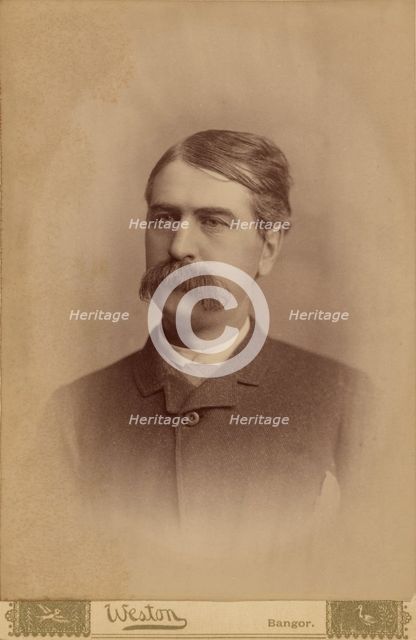 Portrait of an unidentified man with a bushy moustache, 1885. Creator: FC Weston.