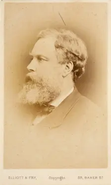 Portrait of an Unidentified Man, (John Macallan Swan), c1865. Creator: Elliott & Fry