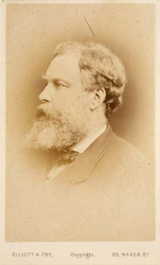 Portrait of an Unidentified Man, (John Macallan Swan), c1865. Creator: Elliott & Fry