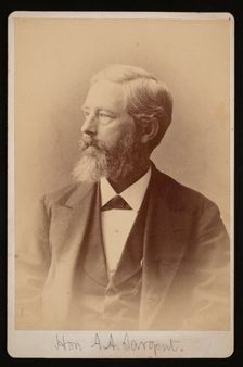 Portrait of Aaron Augustus Sargent (1827-1887), Between 1876 and 1880. Creator: Samuel Montague Fassett