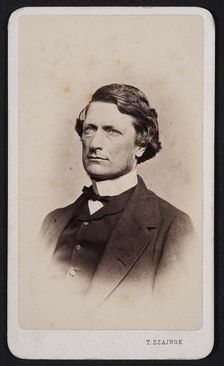 Portrait of Alfred Józef Potocki (1822-1889), ca 1875