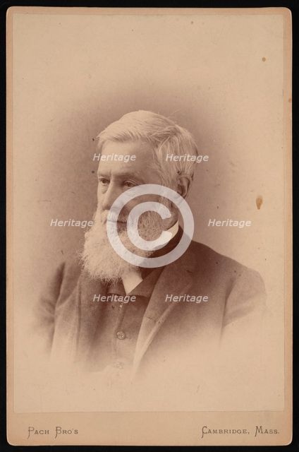 Portrait of Asa Gray (1810-1888), March 1887. Creator: Pach Bros.