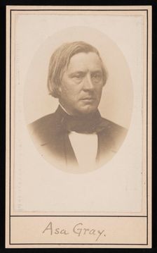 Portrait of Asa Gray (1810-1888), Before 1876. Creator: Unknown