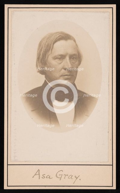 Portrait of Asa Gray (1810-1888), Before 1876. Creator: Unknown.