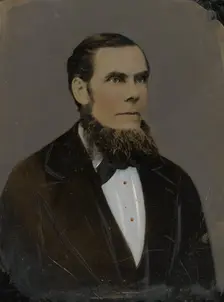 Portrait of bearded man, 1860s-1880s. Creator: Unknown