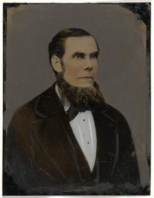Portrait of bearded man, 1860s-1880s. Creator: Unknown