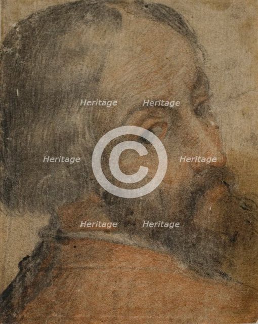 Portrait of Bearded Man (Lodovico Ariosto?), 1550/59. Creator: Unknown.