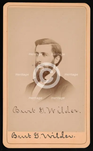 Portrait of Burt Green Wilder (1841-1925), Circa 1870s. Creator: Purdy & Frear.