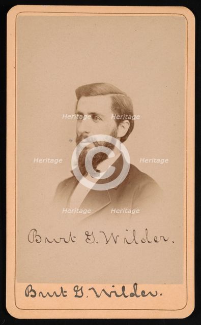 Portrait of Burt Green Wilder (1841-1925), Circa 1870s. Creator: Purdy & Frear.