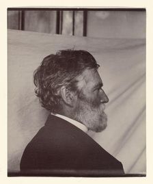 Portrait of George Davidson, about 1887. Creator: Carleton Emmons Watkins