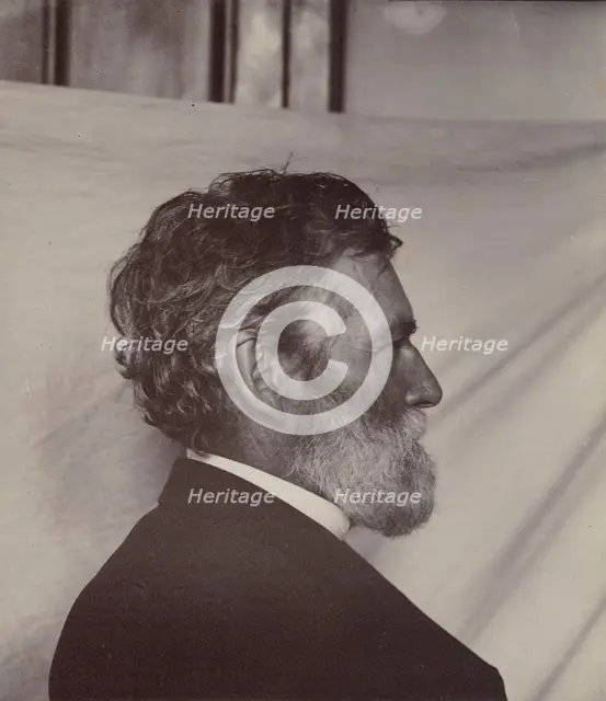 Portrait of George Davidson, about 1887. Creator: Carleton Emmons Watkins.