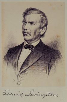 Portrait of David Livingstone, 1875. Creator: Unknown
