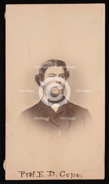 Portrait of Edward Drinker Cope (1840-1897), Circa 1860s. Creator: Unknown.