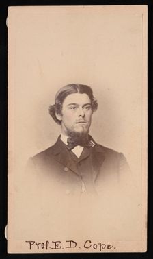 Portrait of Edward Drinker Cope (1840-1897), Circa 1860s. Creator: Unknown