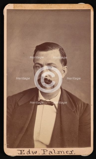 Portrait of Edward Palmer (1829-1911), Before 1900. Creator: Thomas William Smillie.