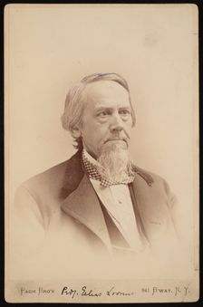 Portrait of Elias Loomis (1811-1889), Between 1883 and 1889. Creator: Pach Bros