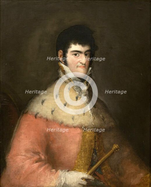 Portrait of King Ferdinand VII of Spain, 1808. Creator: Goya, Francisco, de (1746-1828).