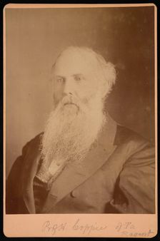 Portrait of Henry Coppee´ (1821-1895), 1875. Creator: Unknown