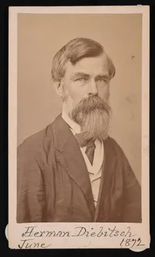 Portrait of Herman Henry Diebitsch (1818-1883), 1871. Creator: Henry Ulke