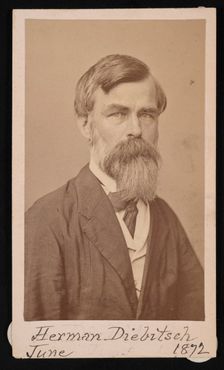 Portrait of Herman Henry Diebitsch (1818-1883), 1871. Creator: Henry Ulke