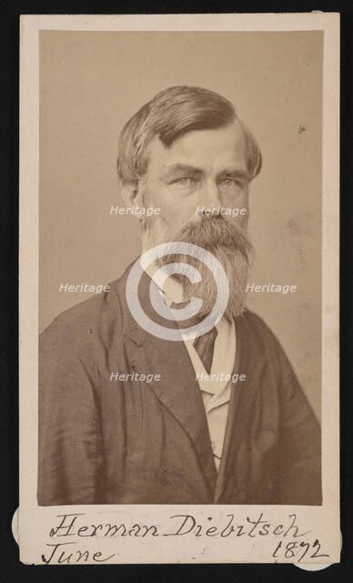 Portrait of Herman Henry Diebitsch (1818-1883), 1871. Creator: Henry Ulke.