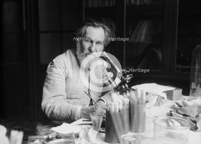 Portrait of Ilya Ilyich Mechnikov (1845-1916), 1913. Creator: Agence Rol (1904-1937).