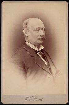 Portrait of J.H. Sims, Between 1876 and 1880. Creator: Samuel Montague Fassett