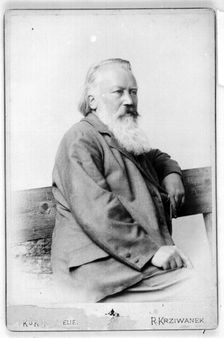 Portrait of Johannes Brahms (1833-1897)