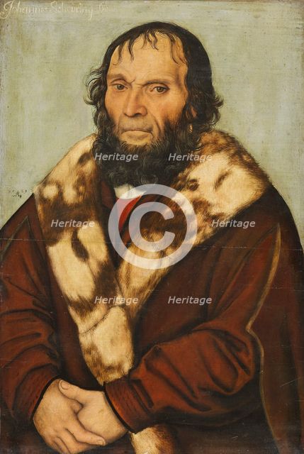 Portrait of Johannes Scheyring (1454-1516), 1529.