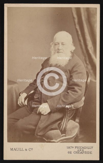 Portrait of John Gould (1804-1881), Before 1875. Creator: Maull & Co.