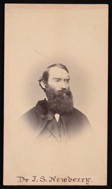 Portrait of John Strong Newberry (1822-1892), Before 1887. Creator: Unknown