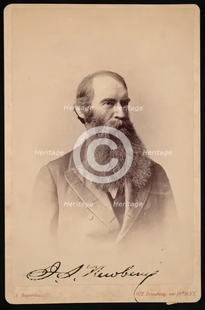 Portrait of John Strong Newberry (1822-1892), Between 1876 and 1887. Creator: Abraham Bogardus.