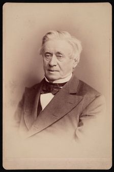 Portrait of Joseph Henry (1797-1878), 1876. Creator: Frederick Gutekunst