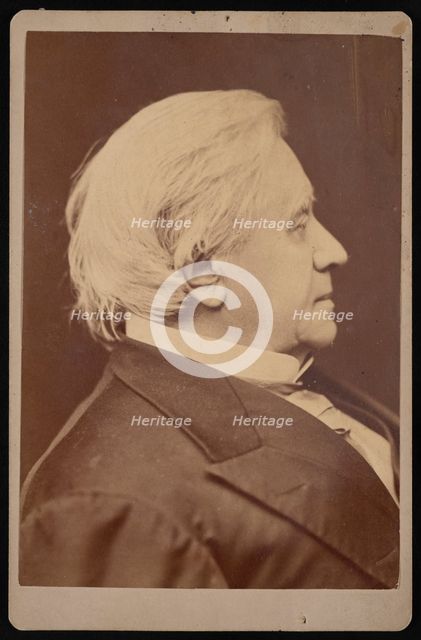 Portrait of Joseph Henry (1797-1878), December 1875. Creator: Samuel Montague Fassett.