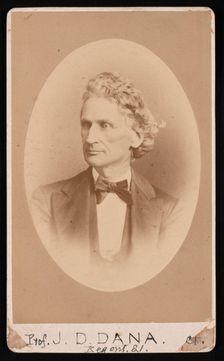 Portrait of James Dwight Dana (1813-1895), Before 1891. Creator: William Notman