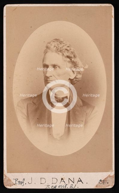 Portrait of James Dwight Dana (1813-1895), Before 1891. Creator: William Notman.
