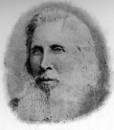 Portrait of Oscar Wilde's father, Sir William Wilde, c1870s. Creator: Unknown