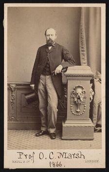 Portrait of Othniel Charles Marsh (1831-1879), 1866. Creator: Maull & Co