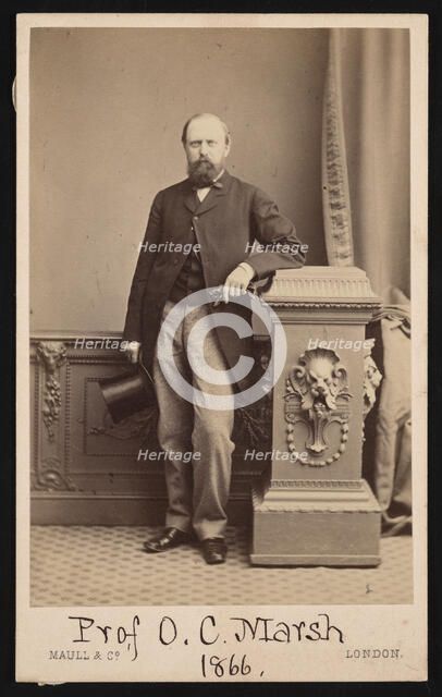 Portrait of Othniel Charles Marsh (1831-1879), 1866. Creator: Maull & Co.