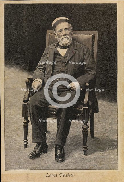 Portrait of Louis Pasteur (1822-1895).